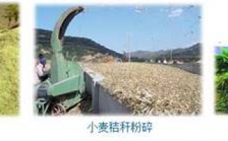 農民科學發展新思路，秸稈綜合利用成為賺錢好門路之秸稈顆粒機