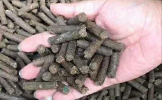 水果渣越來越受歡迎，因為它的出現—生物質顆粒機設備