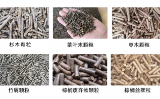 木屑顆粒機多少錢及發展趨勢如何？看這里