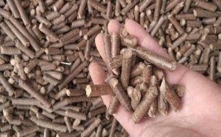 鋸末顆粒機生物質燃料與燃煤對比情況如何？