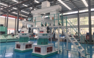 木屑顆粒機多少錢一臺?建顆粒廠大約多少錢？