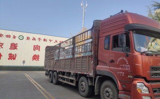 忙碌的五月，忙碌的發貨，金格瑞顆粒機生產線發往全國各地