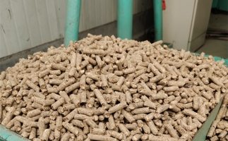 在燃燒時，水分大的生物質顆粒會出現哪些問題？