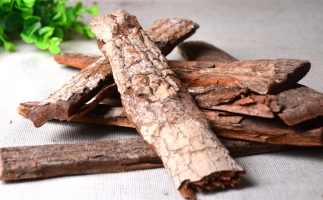 木材加工廠的廢棄物刨花能夠用來做什么？鋸末顆粒機告訴你