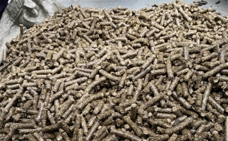 鋸末顆粒機的顆粒燃料比煤炭貴，為什么還有那么多人用？