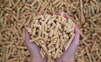 夏季儲存鋸末顆粒機生物質顆粒的方法，要認真看喲