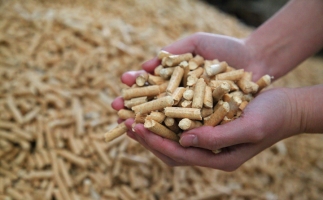 為什么越來越多人選鋸末顆粒機的生物質顆粒取暖？