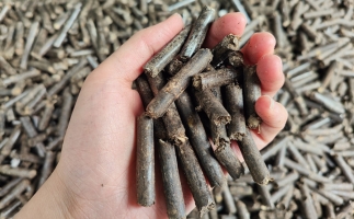 生物質顆粒燃料公司前景怎么樣，木屑顆粒機的顆粒燃料賣給誰的？