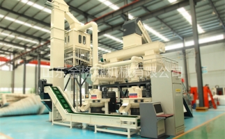 辦木屑顆粒燃料廠需要準備哪些工作？山東顆粒機廠家和您說說