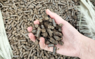 木屑顆粒機將秸稈變廢為寶，降碳節能一舉兩得