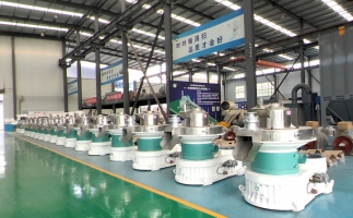 新手開顆粒廠，該選小型還是大型木屑顆粒機？